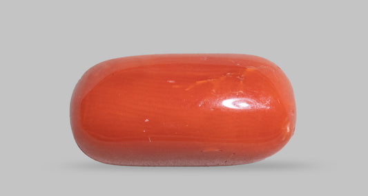 Italian Red Coral 7.58 Carats / 8.33 Ratti