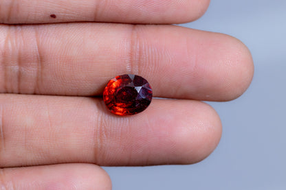 Sri-Lankan Hessonite (Gomed) 5.61 Carats / 6.16 Ratti