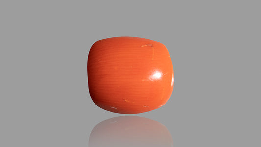 Italian Red Coral 14.29 Carats / 15.7 Ratti