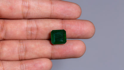Zambian Emerald (Panna) 11.60 Carats / 12.75 Ratti