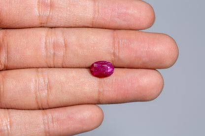 Mozambique Ruby (Manik) 3.00 Carats / 3.3 Ratti