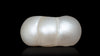 Basra Pearl 2.54 Carats / 2.79 Ratti