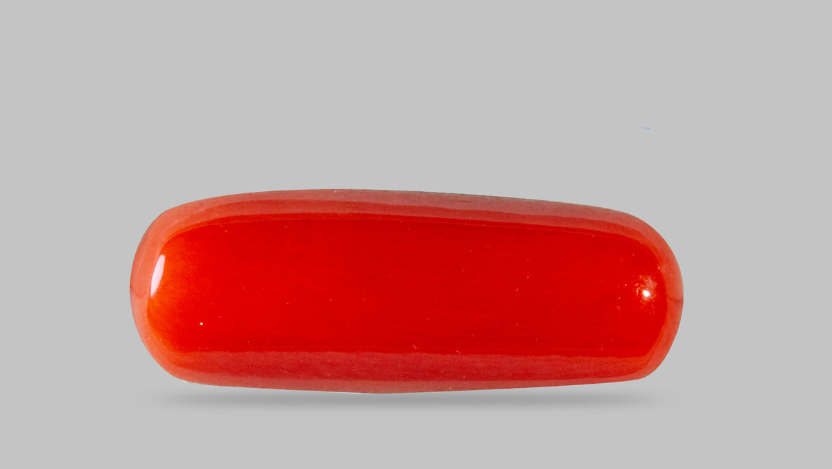 Italian Red Coral 8.81 Carats / 9.68 Ratti