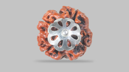 4 MUKHI RUDRAKSHA (18.80 mm) / 14.85 Ratti
