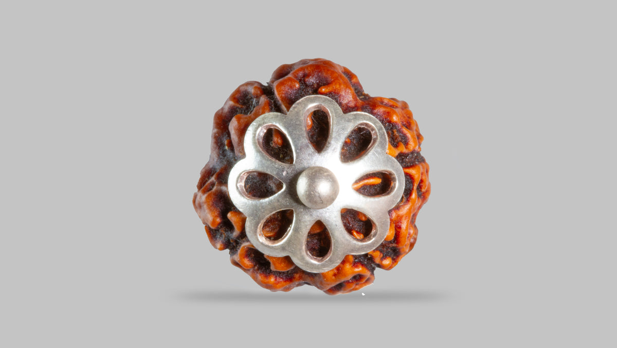 4 MUKHI RUDRAKSHA (18.01 mm)