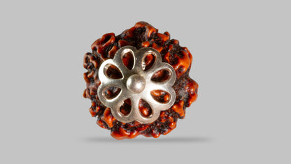 4 MUKHI RUDRAKSHA (18.53 mm)
