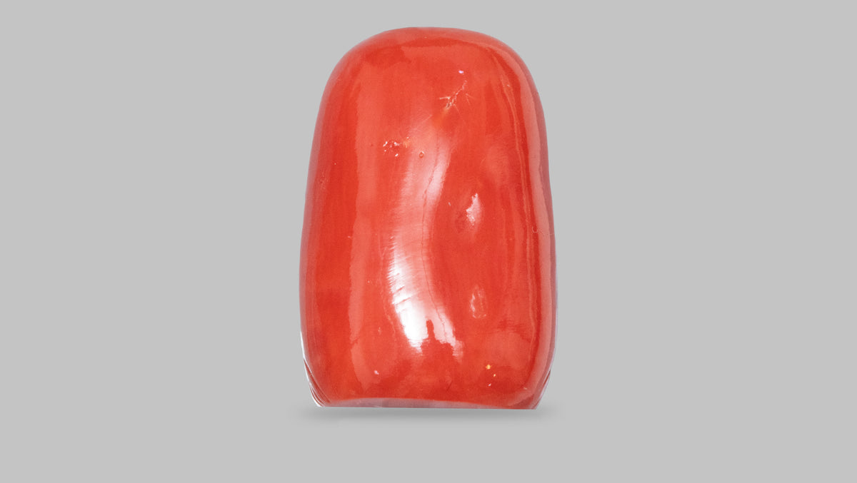 Japanese Ganesh Carving Red Coral(Moonga) 12.97 Carats / 14.25 Ratti