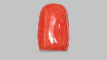 Japanese Ganesh Carving Red Coral(Moonga) 12.97 Carats / 14.25 Ratti