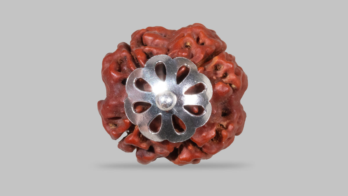 4 MUKHI RUDRAKSHA (18.70 mm)