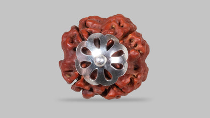 4 MUKHI RUDRAKSHA (18.70 mm)