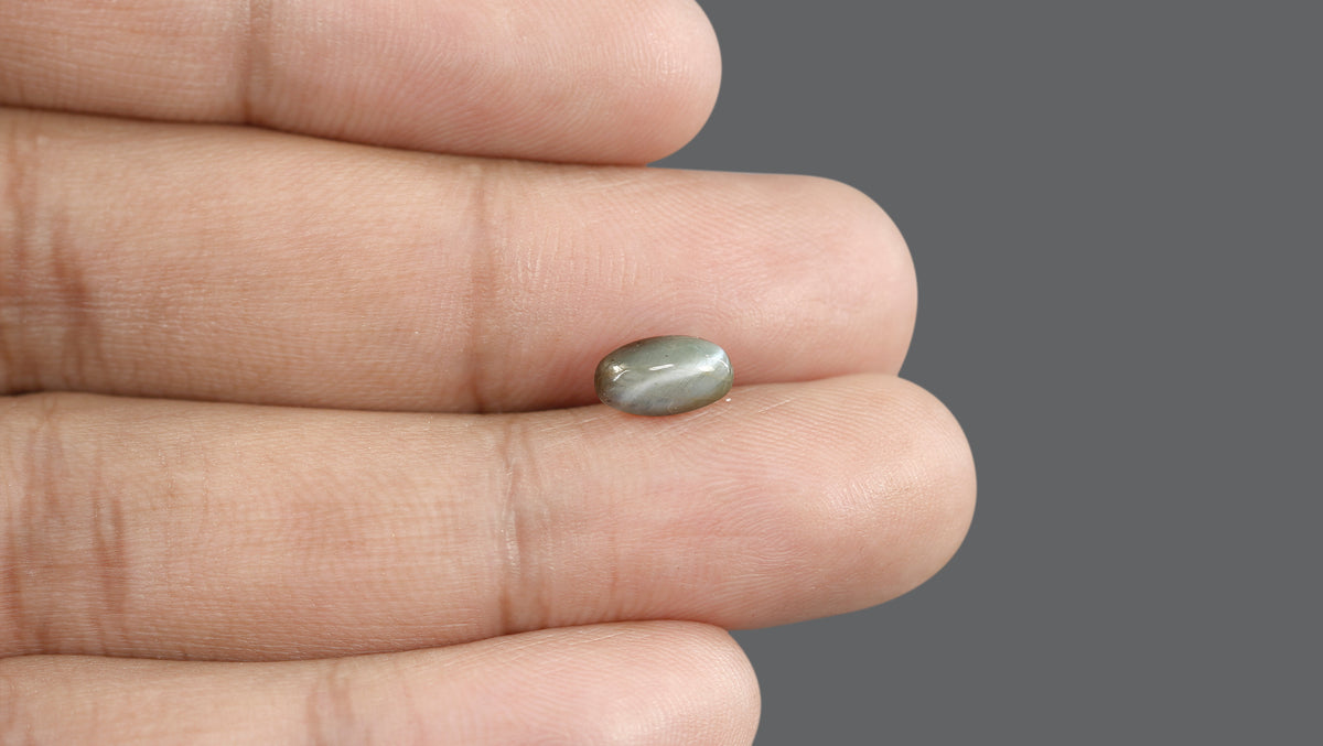 Cat's Eye (Lehsuniya) 2.33 Carats / 2.56 Ratti