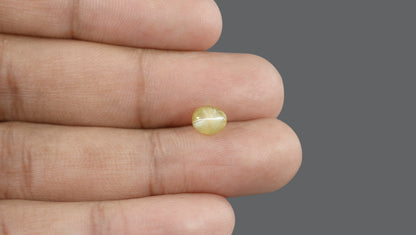 Cat's Eye (Lehsuniya) 2.94 Carats / 3.23 Ratti