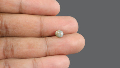 Cat's Eye (Lehsuniya) 1.68 Carats / 1.85 Ratti