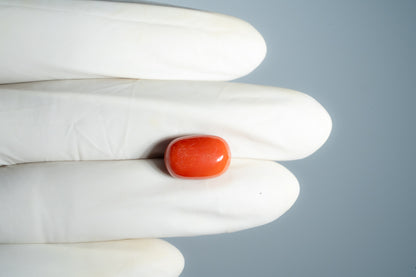 Italian Red Coral 10.59 Carats / 11.64 Ratti
