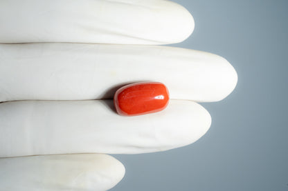 Italian Red Coral 14.25 Carats / 15.66 Ratti