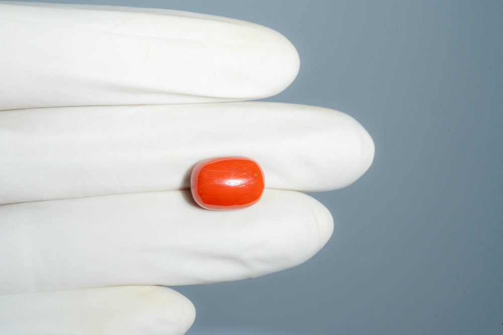 Italian Red Coral 10.59 Carats / 11.64 Ratti