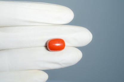 Italian Red Coral 10.59 Carats / 11.64 Ratti