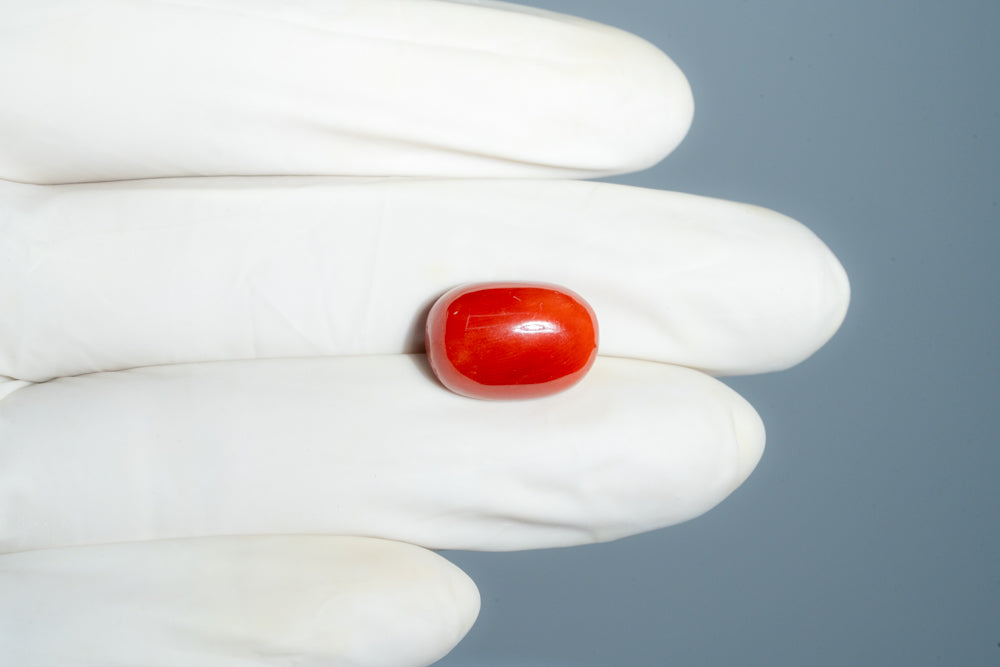 Italian Red Coral 12.43 Carats / 13.66 Ratti
