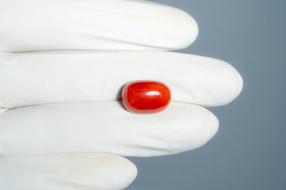 Italian Red Coral 12.43 Carats / 13.66 Ratti