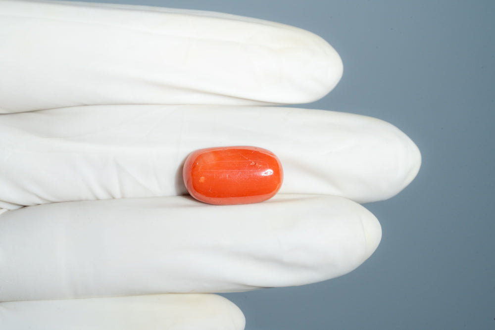 Italian Red Coral 12.60 Carats / 13.85 Ratti