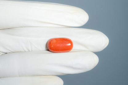 Italian Red Coral 12.60 Carats / 13.85 Ratti
