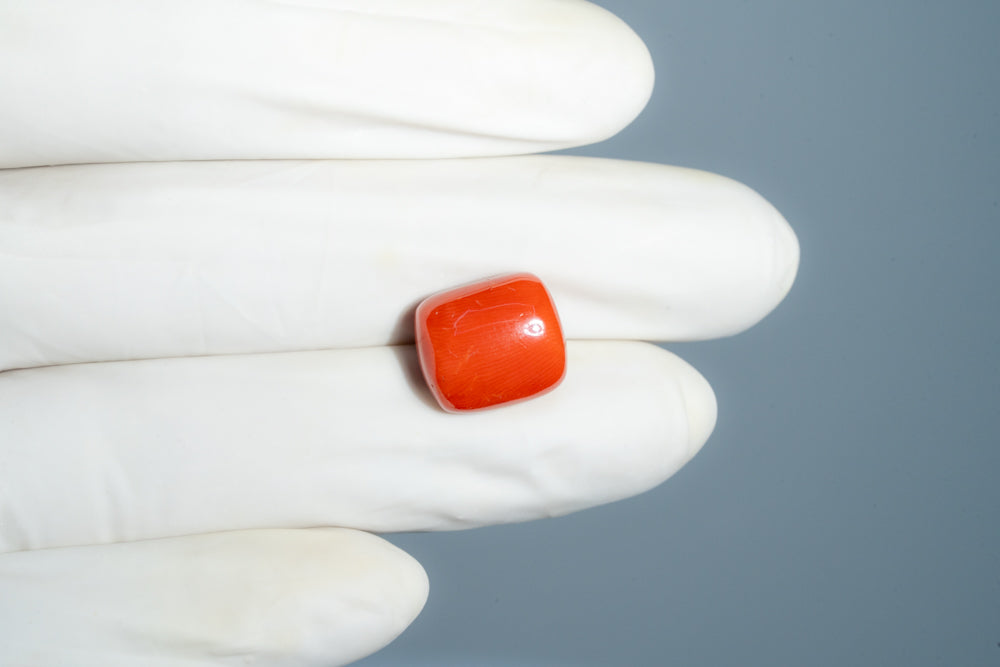 Italian Red Coral 13.52 Carats / 14.86 Ratti