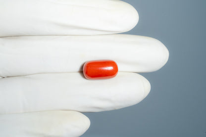 Italian Red Coral 9.98 Carats / 10.97 Ratti