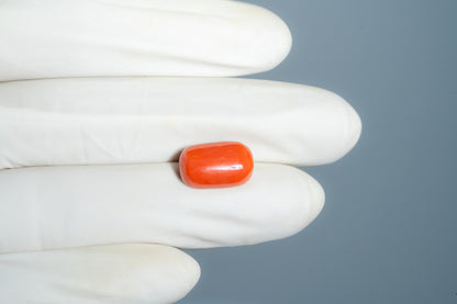Italian Red Coral 8.61 Carats / 9.46 Ratti