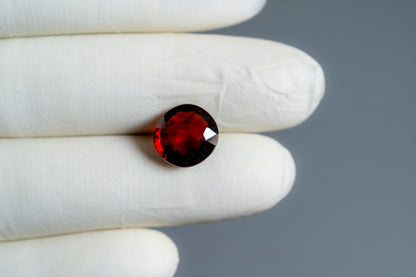 Sri-Lankan Hessonite (Gomed) 7.50 Carats / 8.24 Ratti