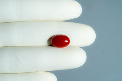 Japanese Red Coral 5.67 Carats / 6.23 Ratti