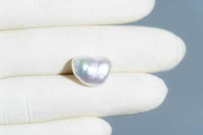 Venezuela Pearl12.30 Carats / 13.52 Ratti