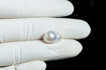 Venezuela Pearl 11.07 Carats / 12.16 Ratti