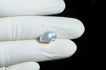 Venezuela Pearl 6.58 Carats / 7.23 Ratti