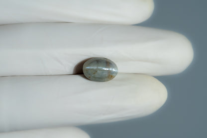 Cat's Eye (Lehsuniya) 8.43 Carats / 9.26 Ratti