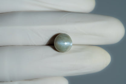 Cat's Eye (Lehsuniya) 7.64 Carats / 8.4 Ratti