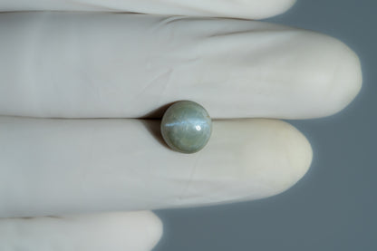 Cat's Eye (Lehsuniya) 5.53 Carats / 6.08 Ratti