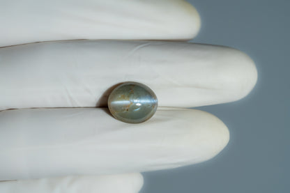 Cat's Eye (Lehsuniya) 12.01 Carats / 13.2 Ratti