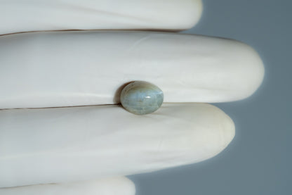 Cat's Eye (Lehsuniya) 5.95 Carats / 6.54 Ratti