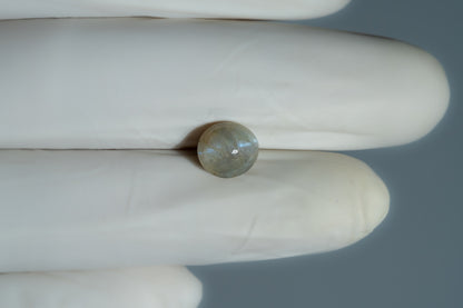 Cat's Eye (Lehsuniya) 4.52 Carats / 4.97 Ratti