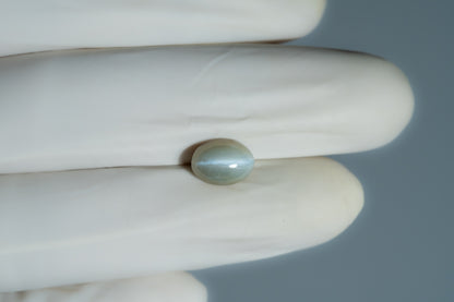 Cat's Eye (Lehsuniya) 4.95 Carats / 5.44 Ratti