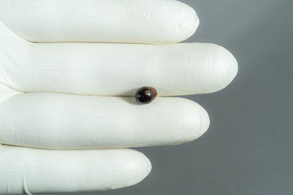 Basra Pearl 2.19 Carats / 2.41 Ratti