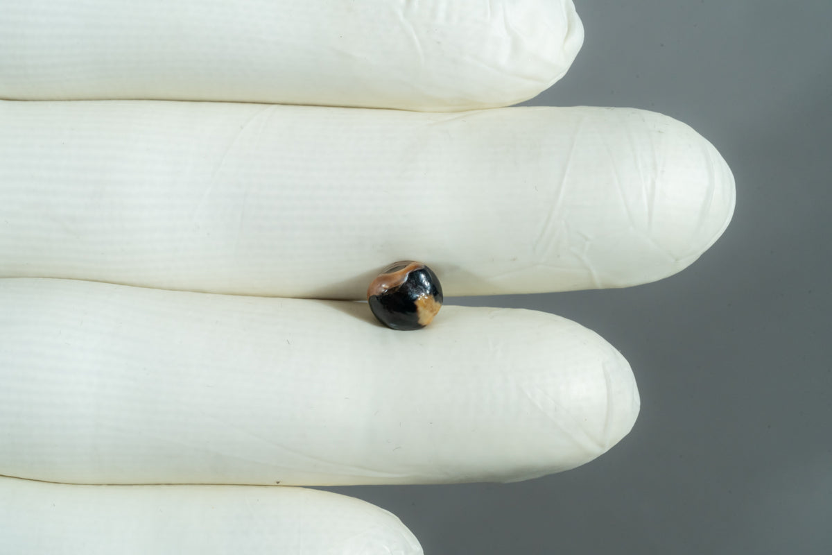 Basra Pearl 2.22 Carats / 2.44 Ratti