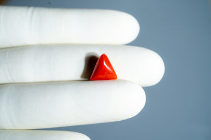 Italian Red Coral 5.15 Carats / 5.66 Ratti