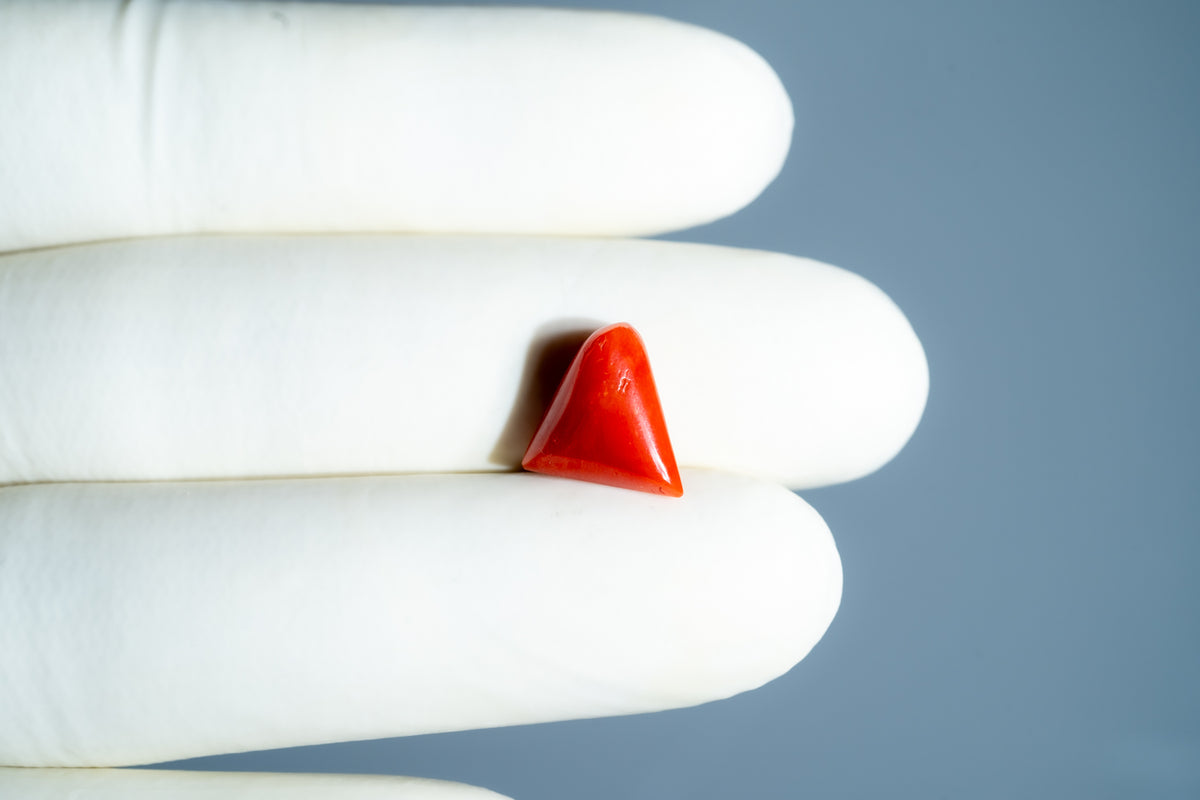 Italian Red Coral 4.95 Carats / 5.44 Ratti