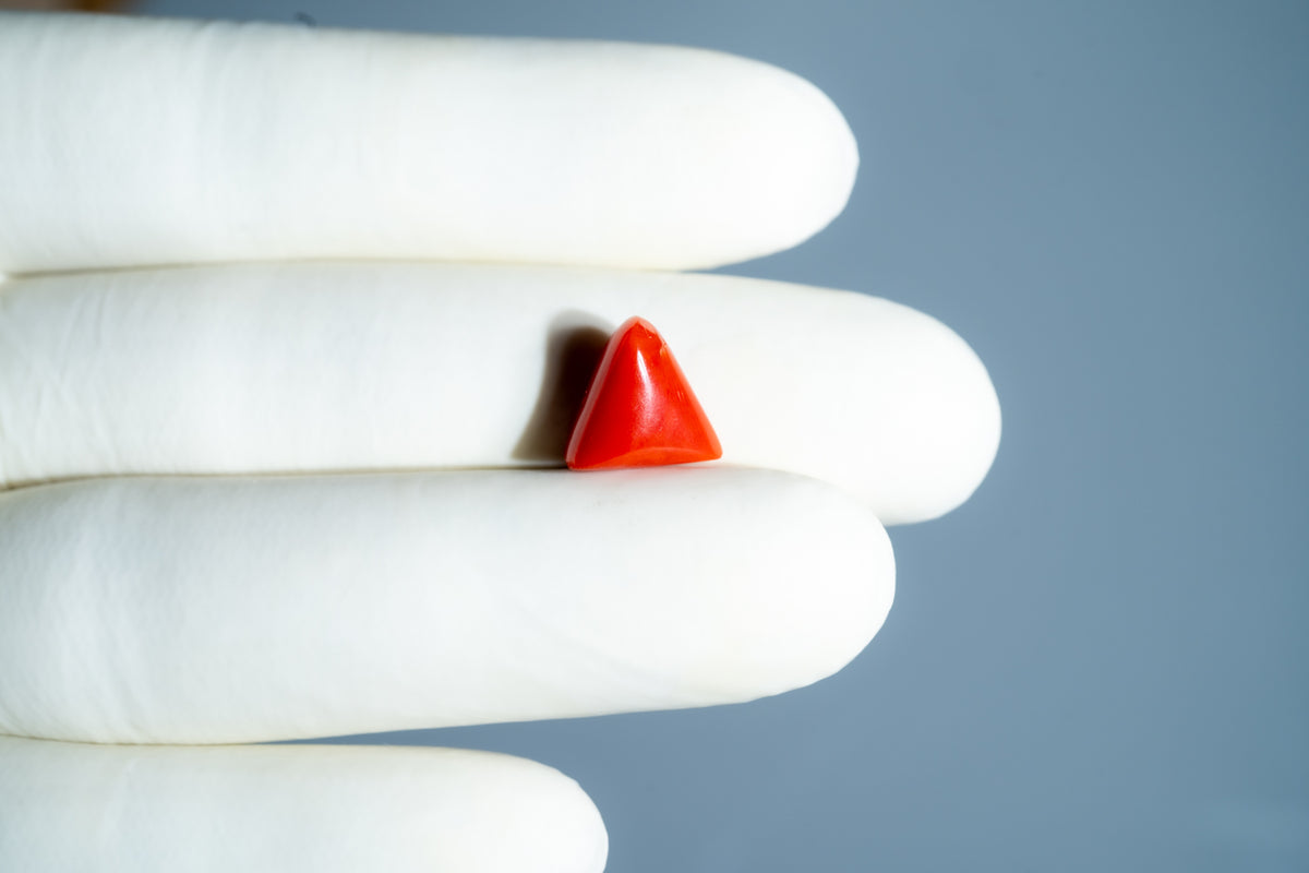 Italian Red Coral 5.04 Carats / 5.54 Ratti