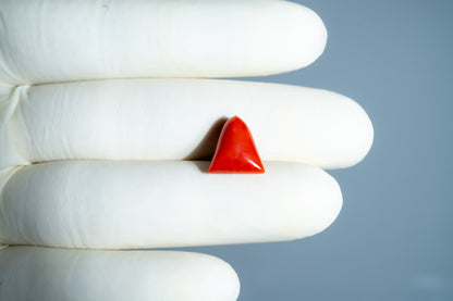 Italian Red Coral 6.06 Carats / 6.66 Ratti