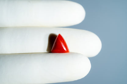 Italian Red Coral 5.32 Carats / 5.85 Ratti