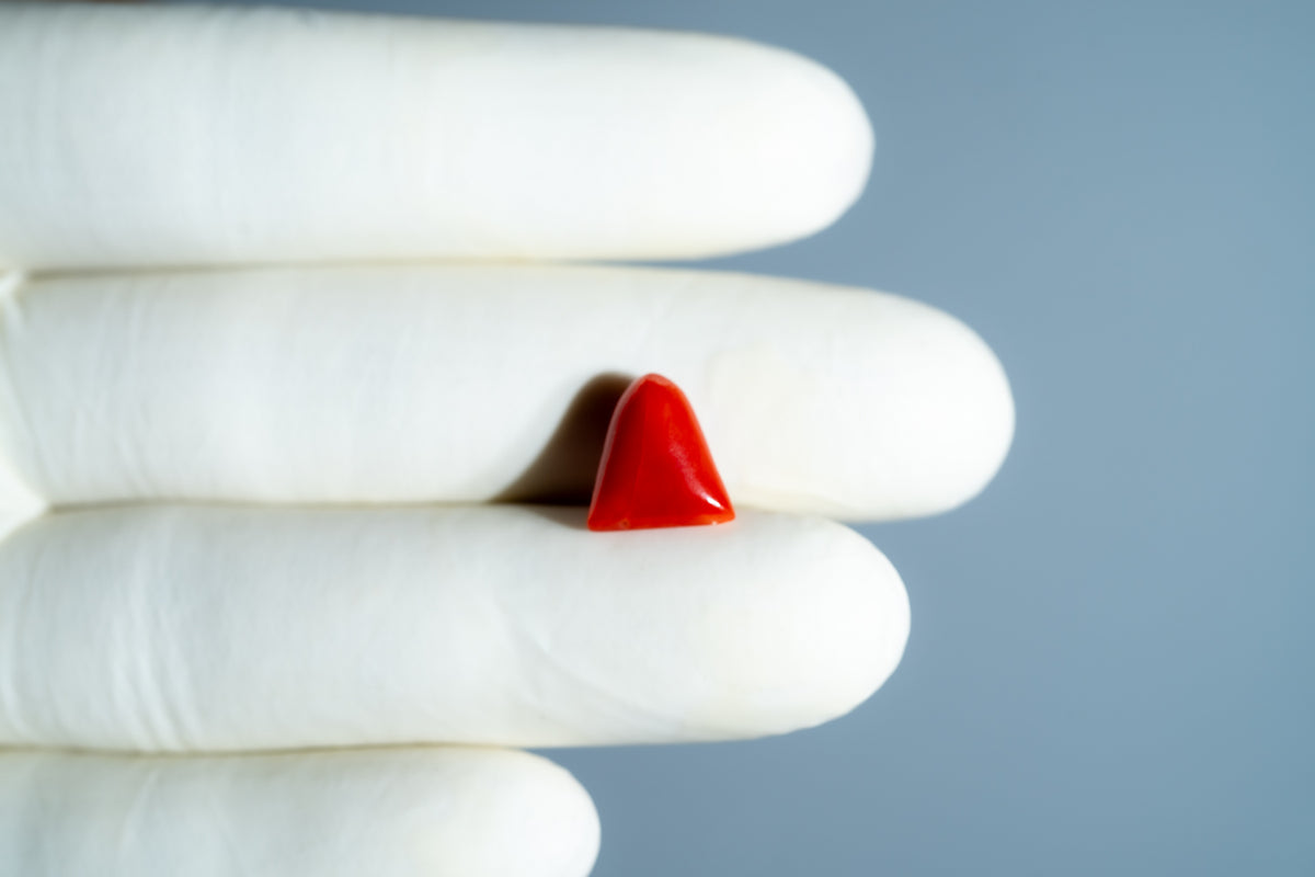 Italian Red Coral 5.01 Carats / 5.51 Ratti