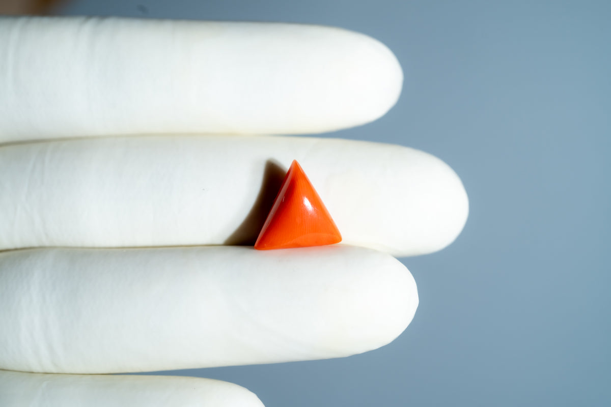 Italian Red Coral 6.01 Carats / 6.6 Ratti