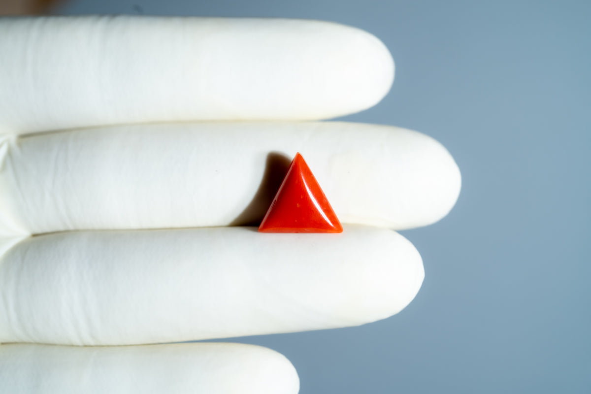 Italian Red Coral 6.16 Carats / 6.77 Ratti